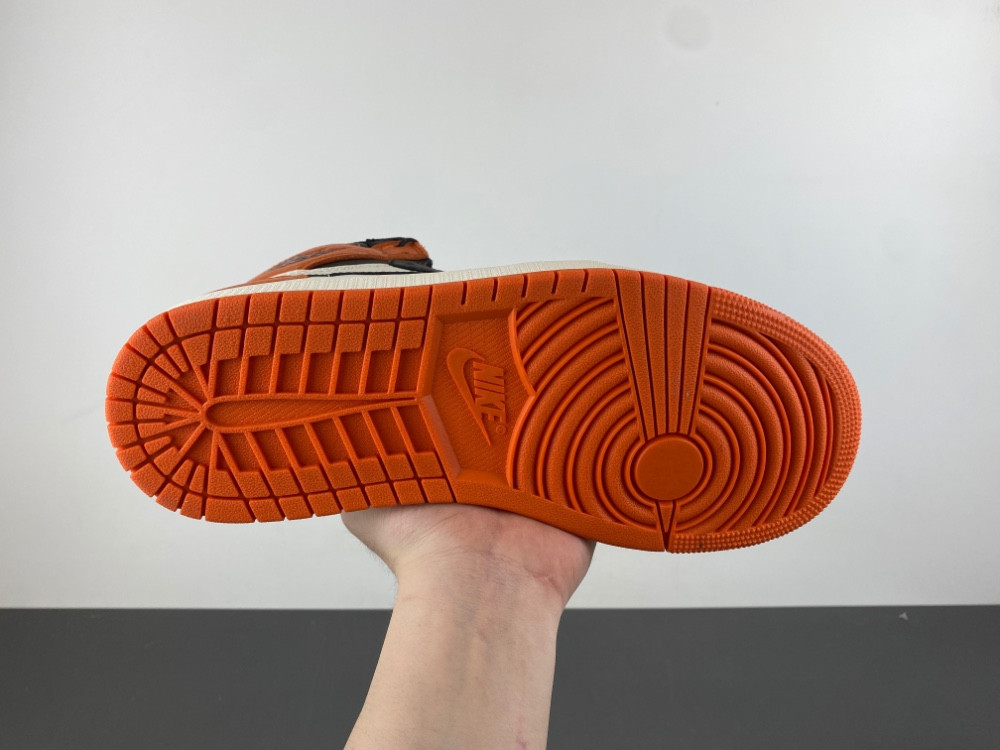 Air Jordan 1 Shattered Backboard DZ5485-008