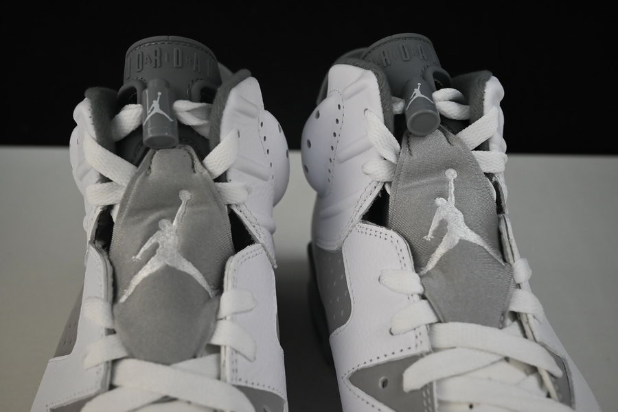 air jordan 6 “cool grey” ct8529-100