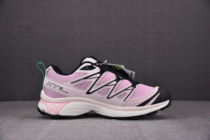 sandy liang x salomon xt-6 expanse