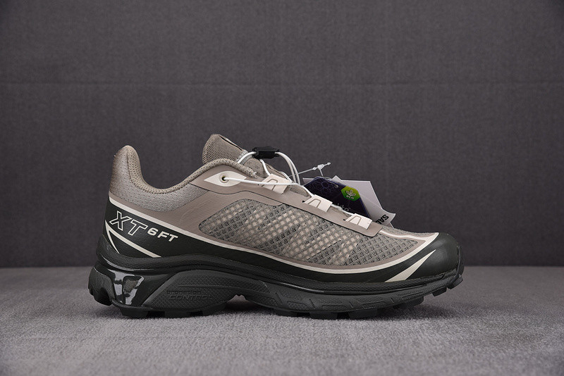 salomon xt-6 ft